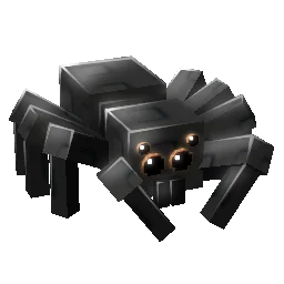 spider